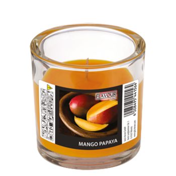 GALA ΑΡΩΜΑΤΙΚΟ ΚΕΡΙ ΒΑΖΟ ELEGANT ± 45 ΩΡΕΣ MANGO-PAPAYA