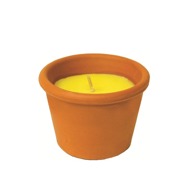 CR MINI TERRACOTA POT 60X75mm CITRONELLA