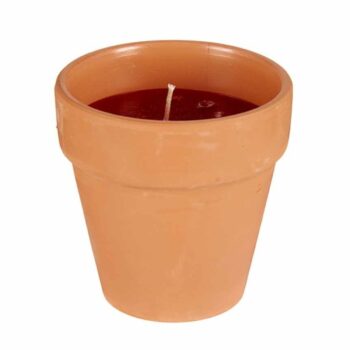 ΕΝΤΟΜ/ΚΟ ΚΕΡΑΜΙΚΟ ΓΛΑΣΤΡΑΚΙ 8Χ8Χ8ΕΚ ΜΕ ΚΕΡΙ GERANIUM