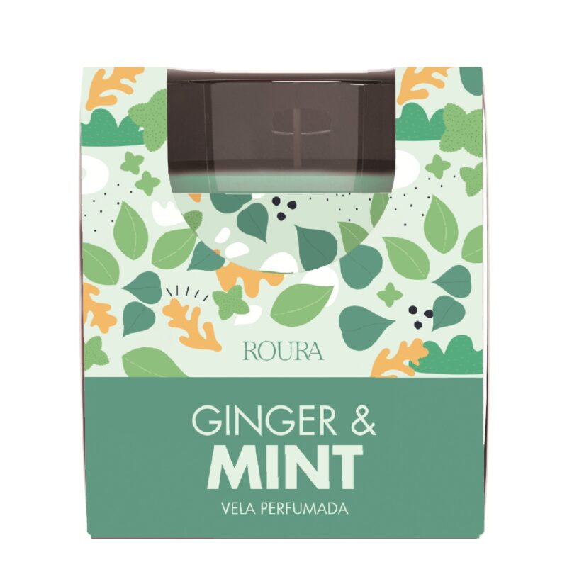 Αρωματικό κερί σε ποτήρι 85x75mm 30h GINGER & MINT